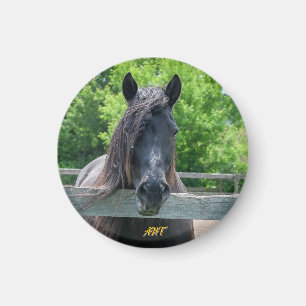 AHT-Pferdescue Magnet