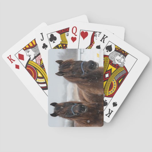 AHT-Pferdescue Spielkarten (Rückseite)