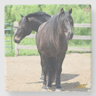 AHT Sherrif & Goliath Steinuntersetzer