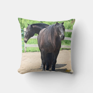 AHT Throw Pillow Kissen
