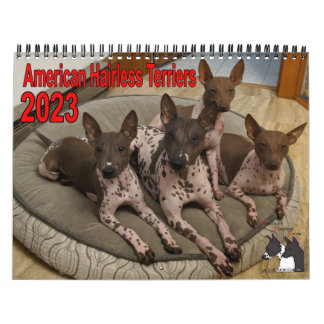 AHTCA 2023 American Hairless Terrier Calendar Kalender
