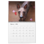 AHTCA 2023 American Hairless Terrier Calendar Kalender (Feb 2026)