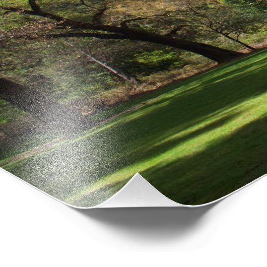 Ahwahnee Fotodruck (Ecke)