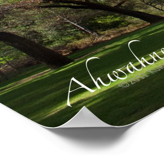 Ahwahnee Poster (Ecke)