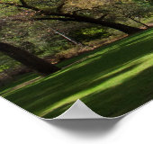 Ahwahnee Poster (Ecke)