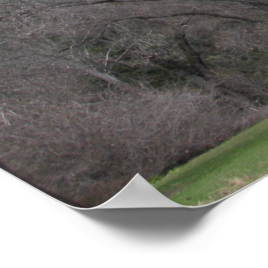 Ahwahnee-Yosemite Poster (Ecke)