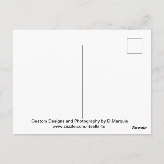 AI DOLPHIN SWIM #1 POSTCARD POSTKARTE (Rückseite)