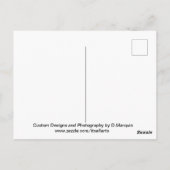 AI DOLPHIN SWIM #3 POSTCARD POSTKARTE (Rückseite)