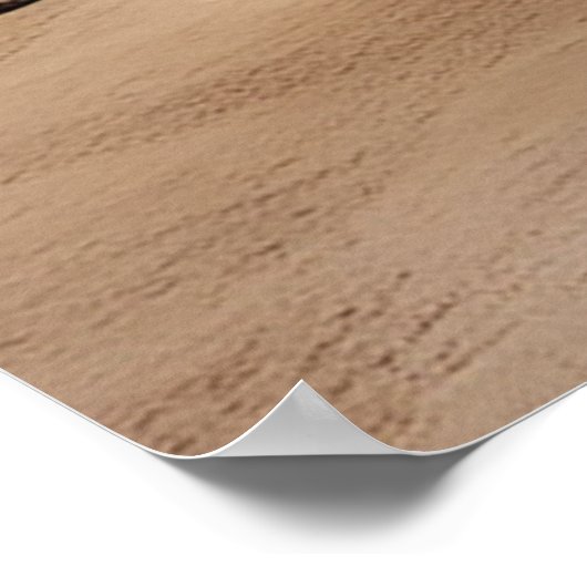 (ai generierte) Poodles sind Mitglieder Poster (Ecke)