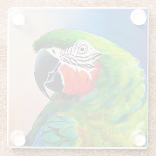 AI-Generierter Amazon-Papagei Glasuntersetzer (Rückseite)