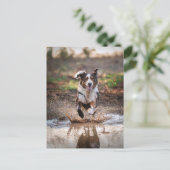 AI Hund Postkarte (Stehend Vorderseite)