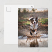 AI Hund Postkarte (Vorne/Hinten)