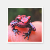 Ai Red Frog Serviette (Vorderseite)