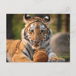 AI Tiger mit Garn Postkarte