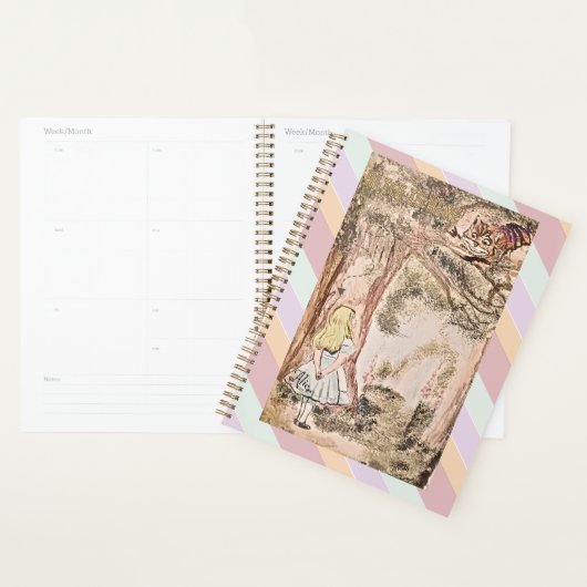 AICE IST HIER STREIFEN UND KARIERT PLANER (Anzeige)