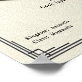 Aidi Zoology Series Poster (Ecke)