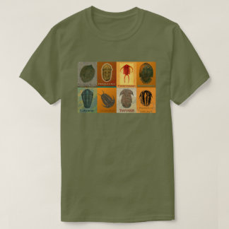 Aight Fossil Trilobites T-Shirt