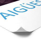 Aigüestortes I Estany De Sant Maurici National Poster (Ecke)