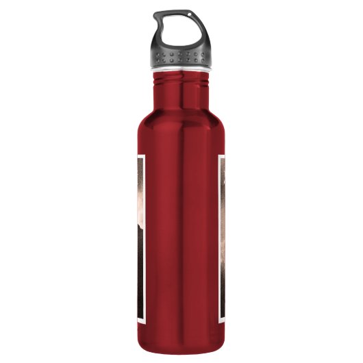 Aiguille DU Midi, Mont Blanc-Berg Edelstahlflasche (Rückseite)