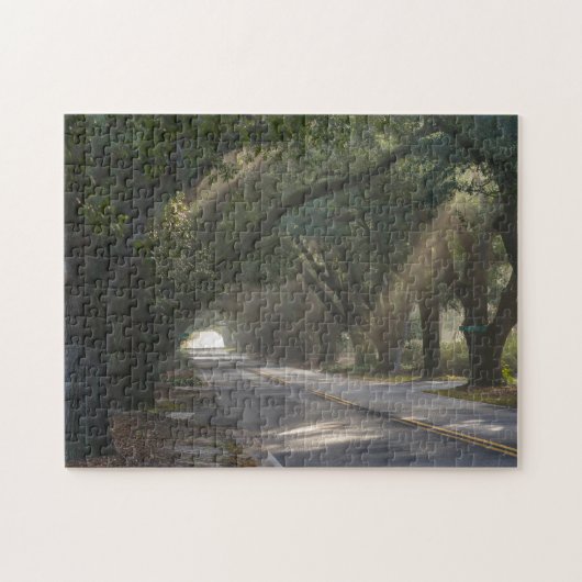 Aiken, SC, Südgrenze Ave. Oak-Tunnel Puzzle (Horizontal)