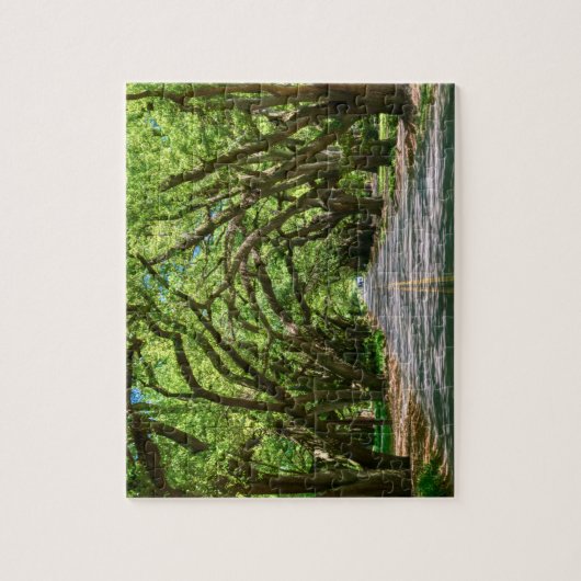 Aikens südlich-grenzenloses Puzzle (Vertikal)