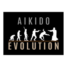 Aikido-Evolution