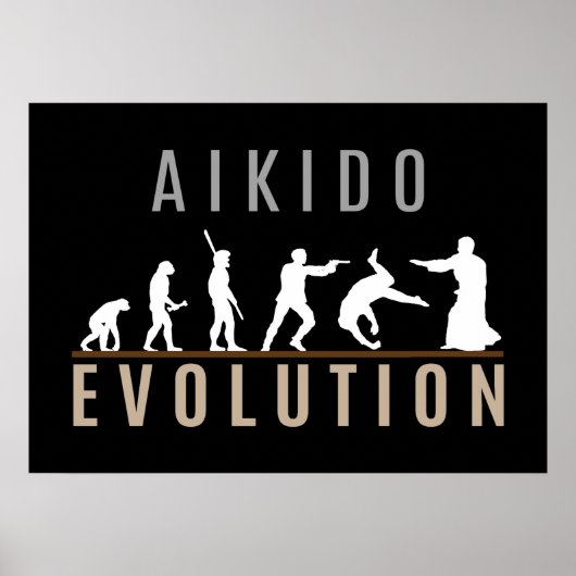 Aikido-Evolution Poster (Vorne)