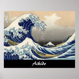 Aikido Japanese Martial Art Poster