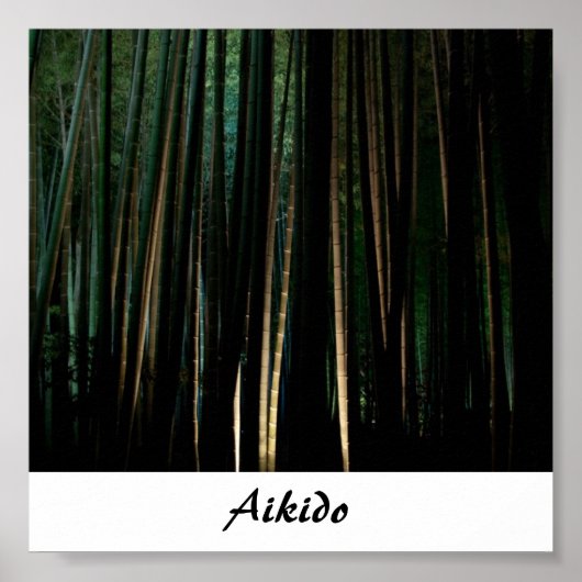 Aikido Japanese Martial Art Poster (Vorne)