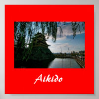 Aikido Japanese Martial Art