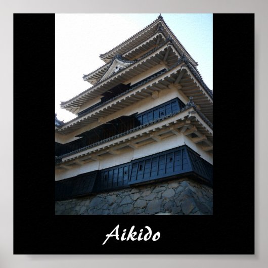 Aikido Japanese Martial Art Poster (Vorne)