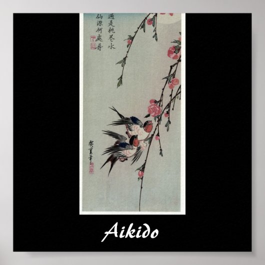 Aikido Japanese Martial Art Poster (Vorne)