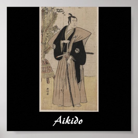 Aikido Japanese Martial Art Poster (Vorne)