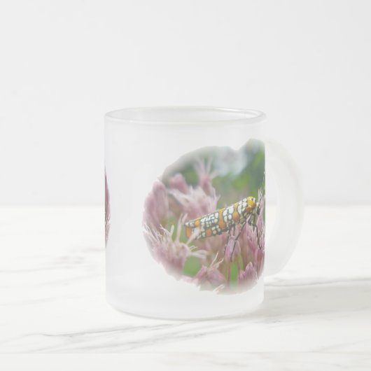 Ailanthus Web Worm Moth auf Ironweed Mattglastasse (VorderseiteRechts)