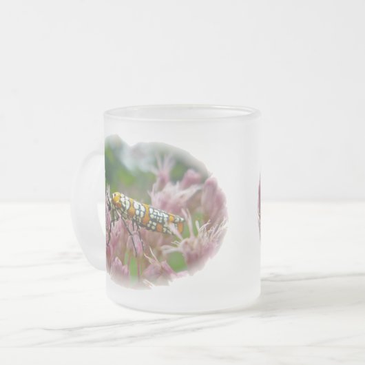 Ailanthus Web Worm Moth auf Ironweed Mattglastasse (Vorderseite Links)