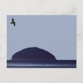 Ailsa Craig Postcard Postkarte (Vorderseite)