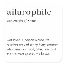 Ailurophile Definition - Katze Lover