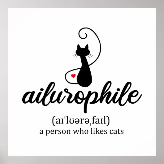 Ailurophile Poster (Vorne)