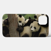 Ailuropoda melanoleuca) 4 Case-Mate iPhone hülle (Rückseite (Horizontal))