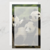 Ailuropoda melanoleuca) briefpapier (Vorne/Hinten)