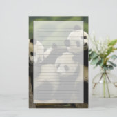 Ailuropoda melanoleuca) briefpapier (Stehend Vorderseite)