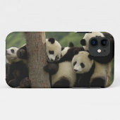 Ailuropoda melanoleuca) Case-Mate iPhone hülle (Rückseite (Horizontal))
