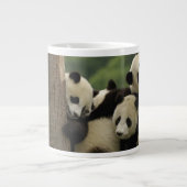 Ailuropoda melanoleuca) Jumbo-Tasse (Vorderseite)