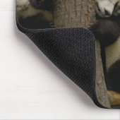 Ailuropoda melanoleuca) mousepad (Ecke)