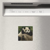 Ailuropoda melanoleuca (Riesenpanda) Magnet (In Situ (Geschirrspüler))