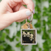 Ailuropoda melanoleuca) schlüsselanhänger (Hand)