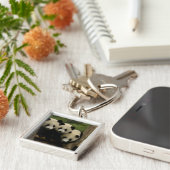 Ailuropoda melanoleuca) schlüsselanhänger (Seite)