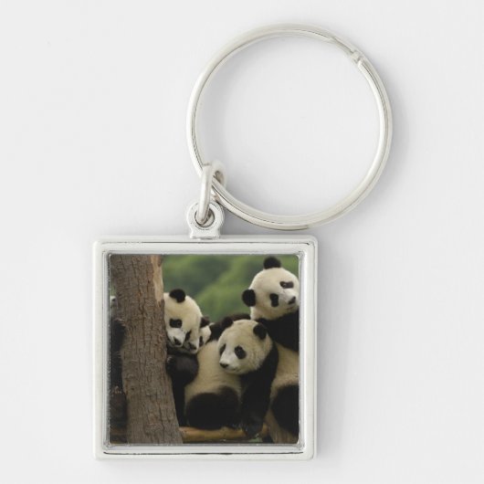 Ailuropoda melanoleuca) schlüsselanhänger (Vorne)