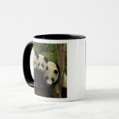 Ailuropoda melanoleuca) tasse (Vorderseite Links)