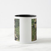 Ailuropoda melanoleuca) tasse (Zentrum)